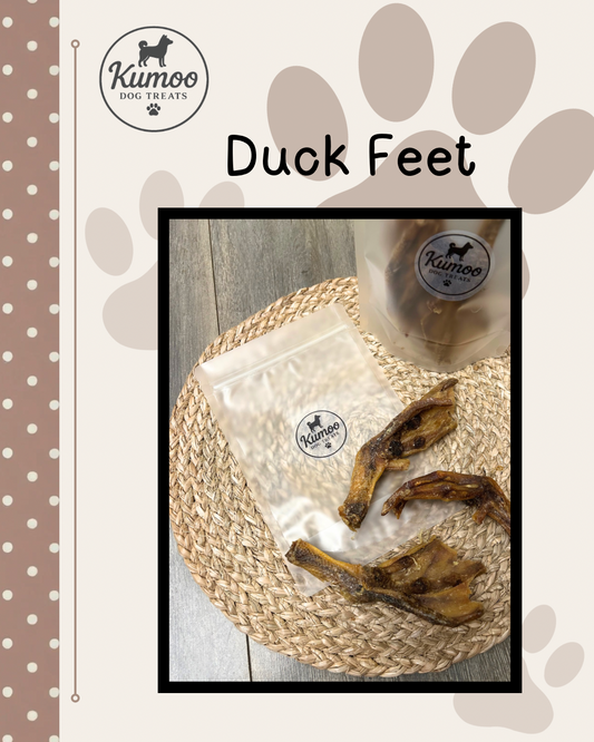 Duck Feet