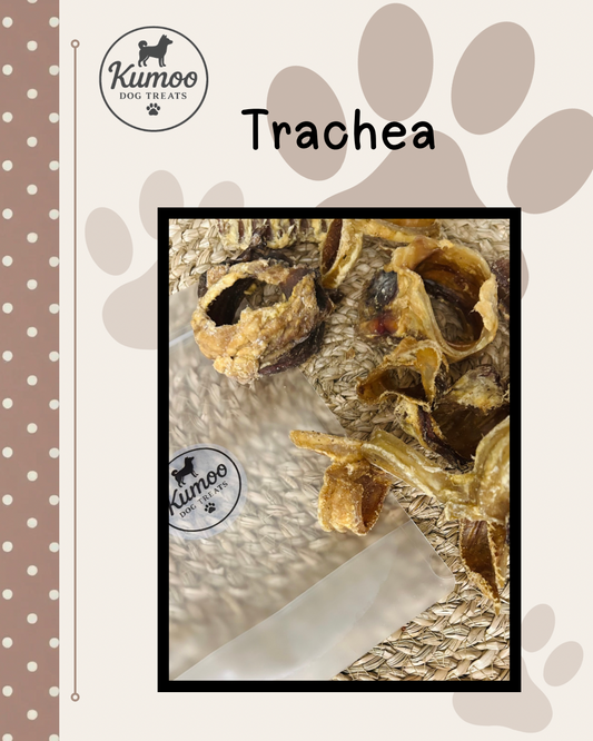 Beef Trachea Curls